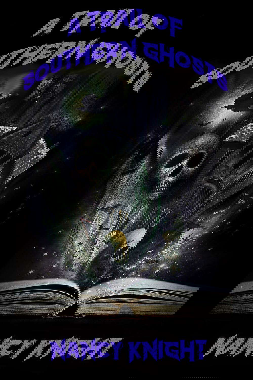 A Trail of Southern Ghosts poster