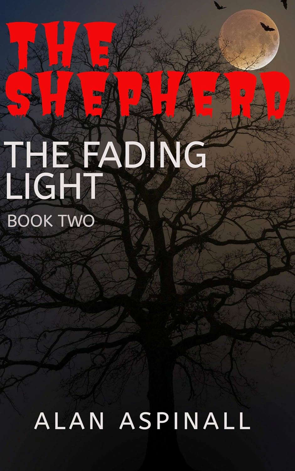 The Shepherd: The Fading Light Book 2 poster