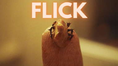 FLICK | Horror Short Film | Gross | Red Tower poster
