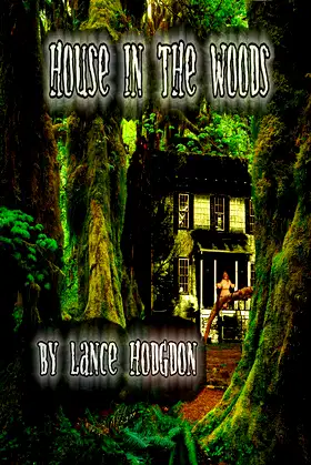 House in the Woods poster