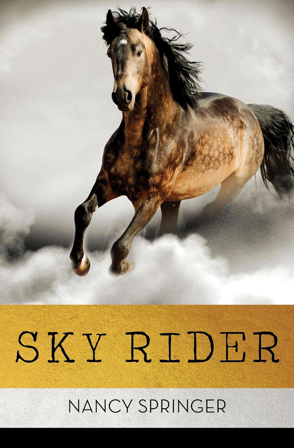 Sky Rider poster