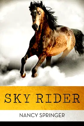 Sky Rider poster