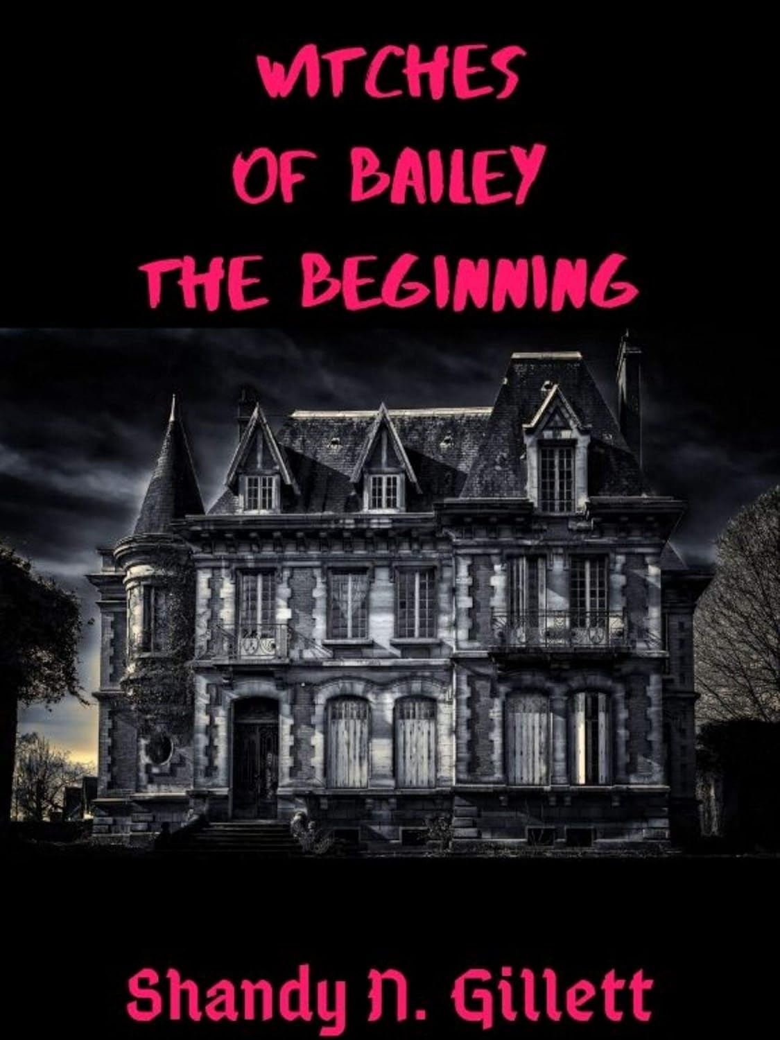 Witches of Bailey: The Beginning poster