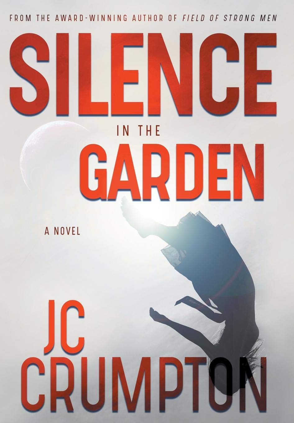 Silence in the Garden poster