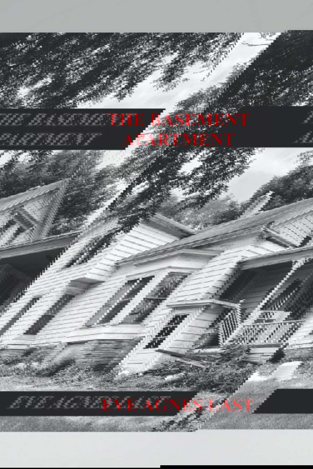 THE BASEMENT APARTMENT poster