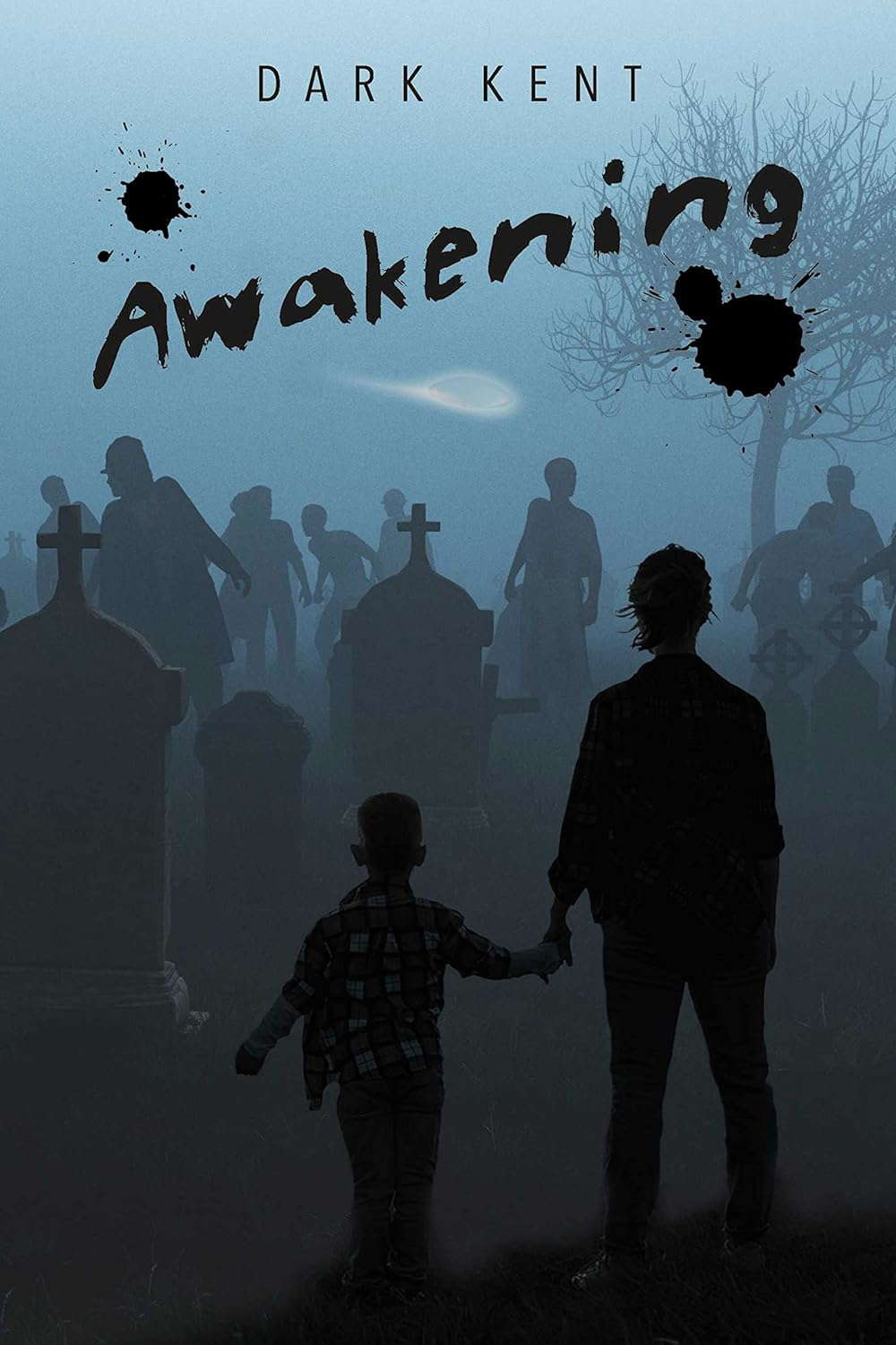 Awakening poster