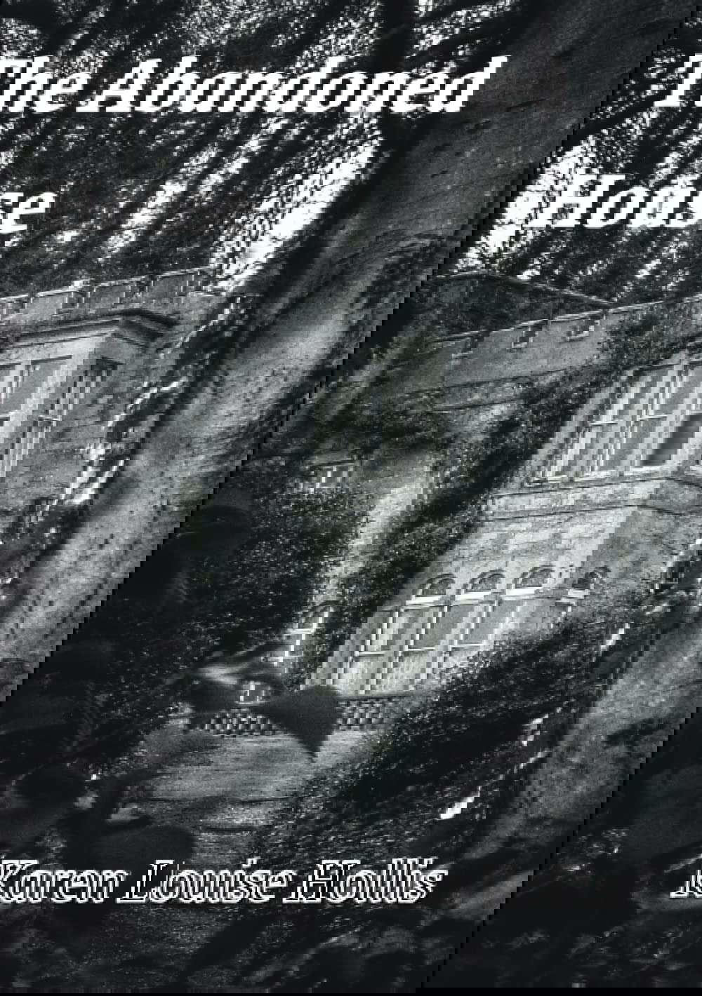 The Abandoned House poster