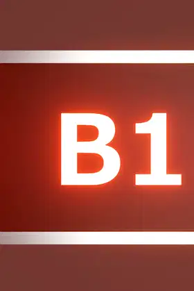 B1 poster