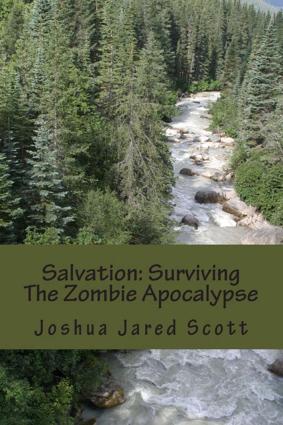 Salvation: Surviving The Zombie Apocalypse poster