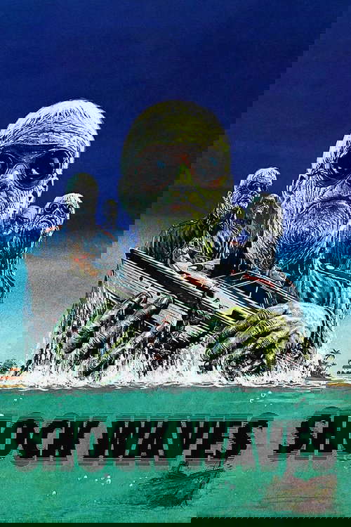 Shock Waves poster