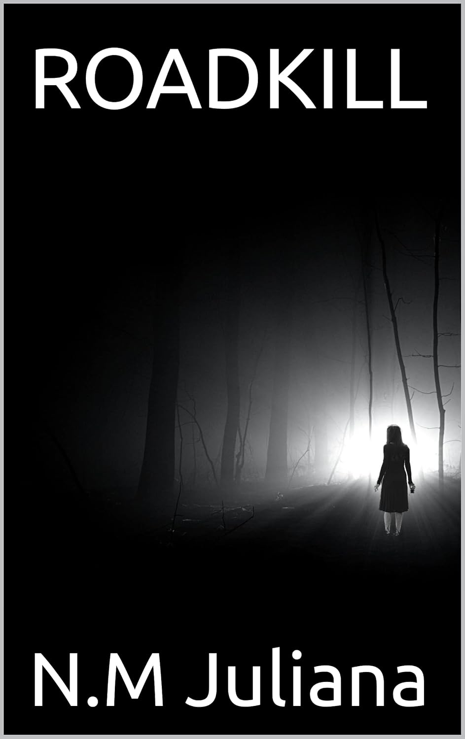 RoadKill poster
