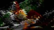 episode poster