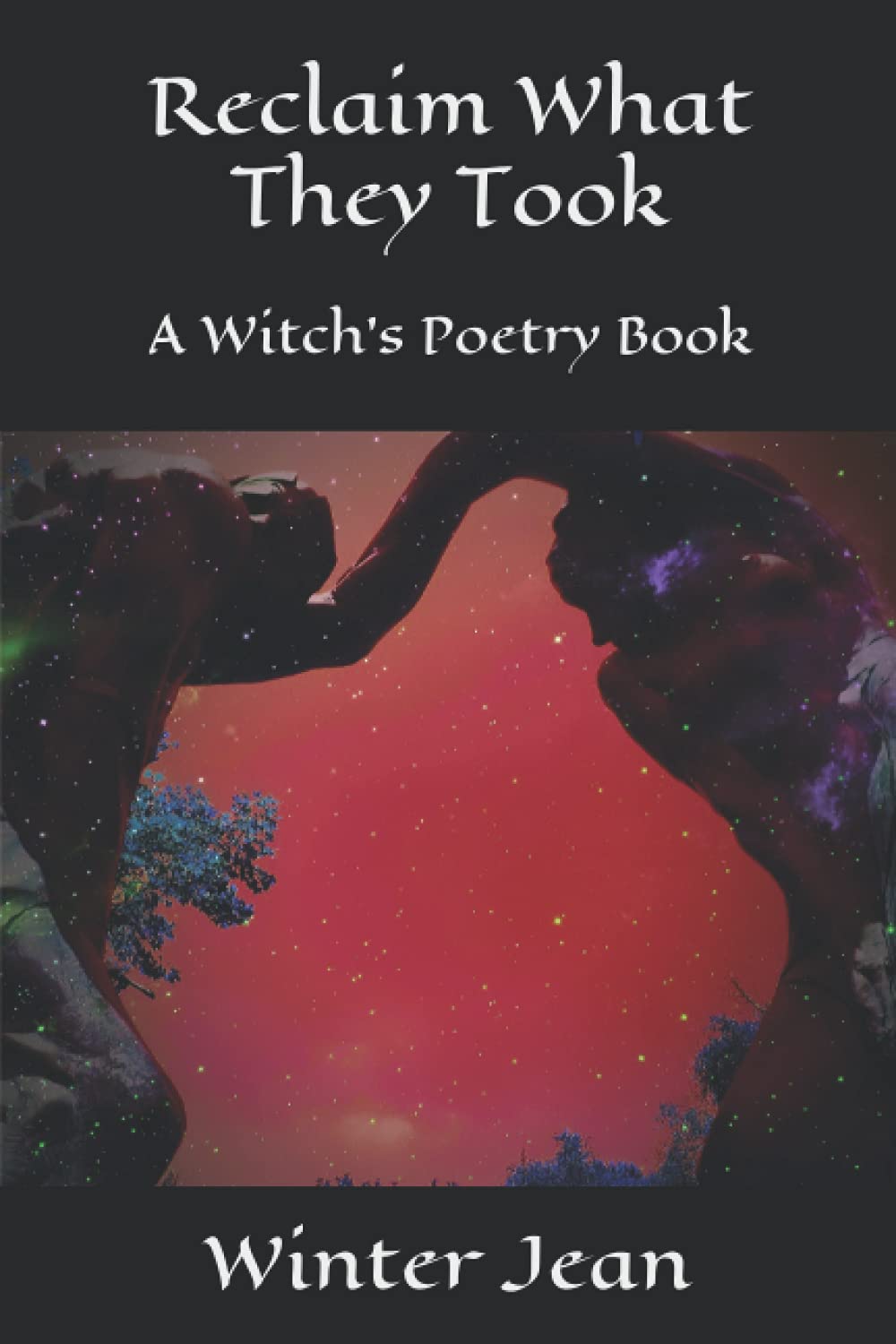 Reclaim What They Took: A Witch's Poetry Book poster