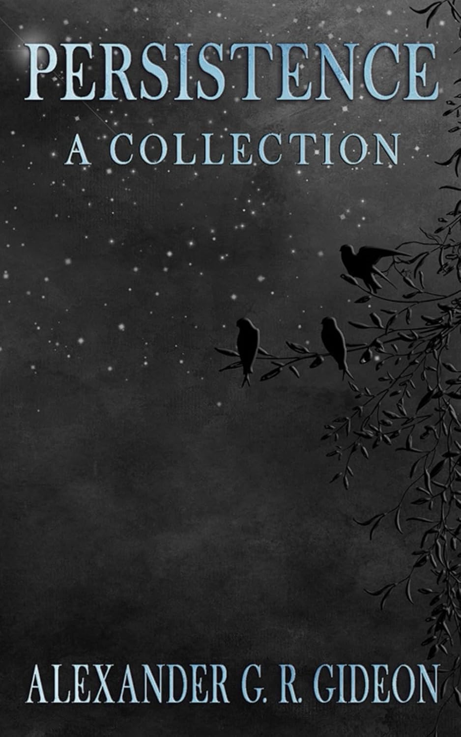 Persistence: A Collection poster