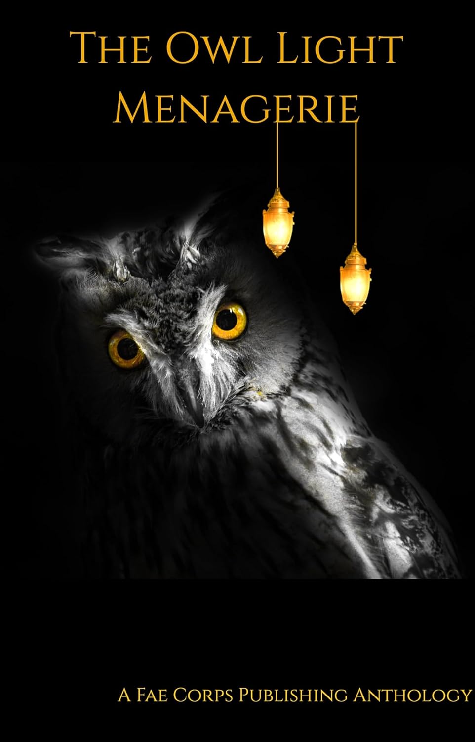 The Owl Light Menagerie poster
