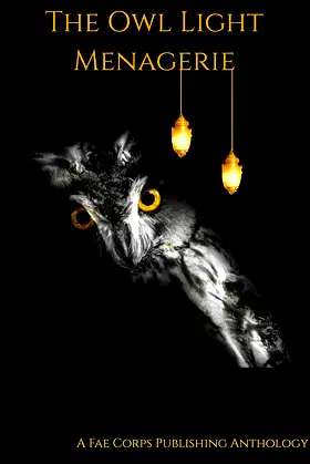 The Owl Light Menagerie poster