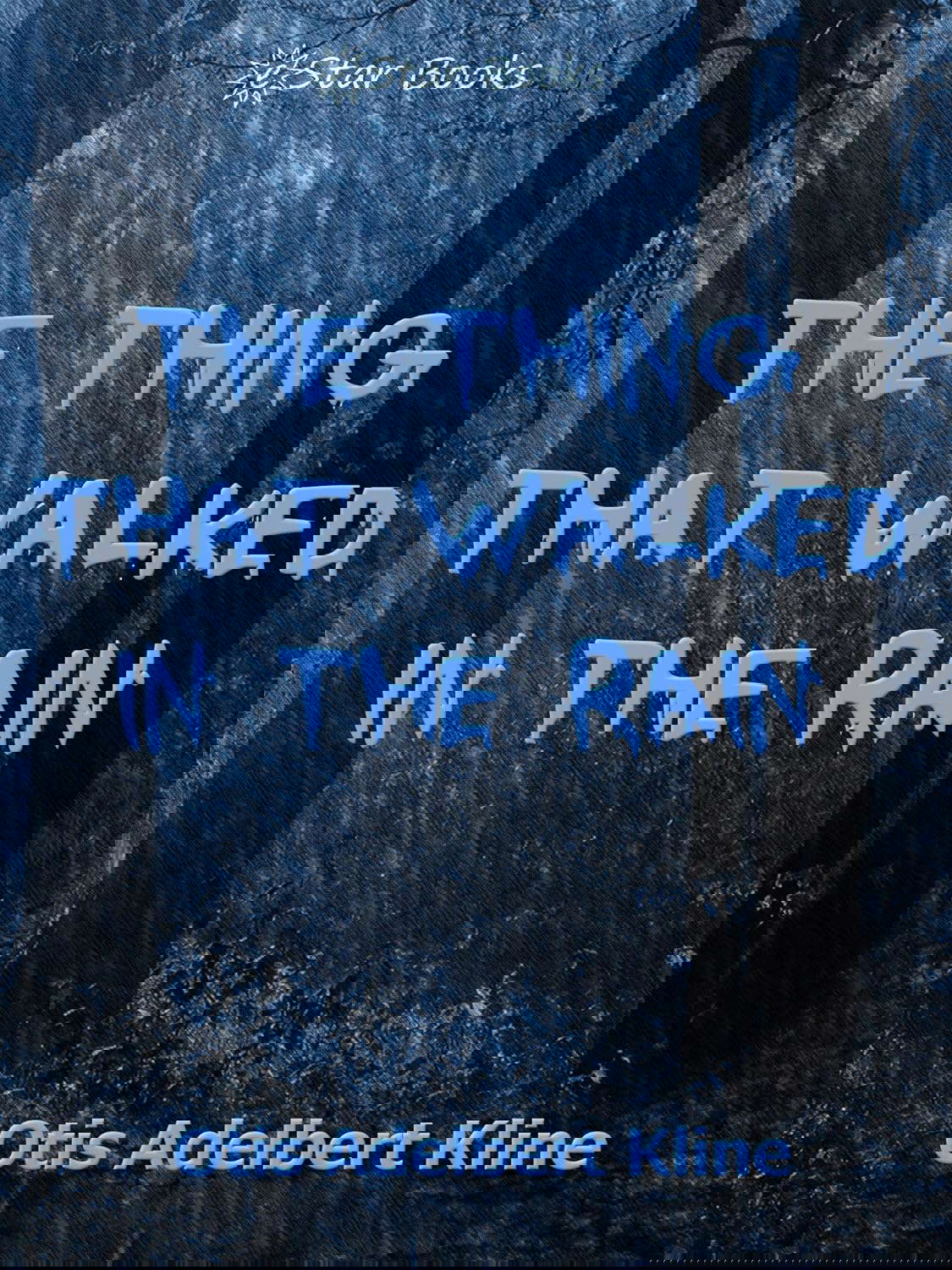 The Thing That Walked In the Rain poster