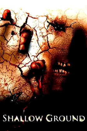 Shallow Ground poster