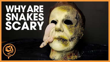 Why are We AFRAID of Ball Pythons? (A Halloween Tribute) poster