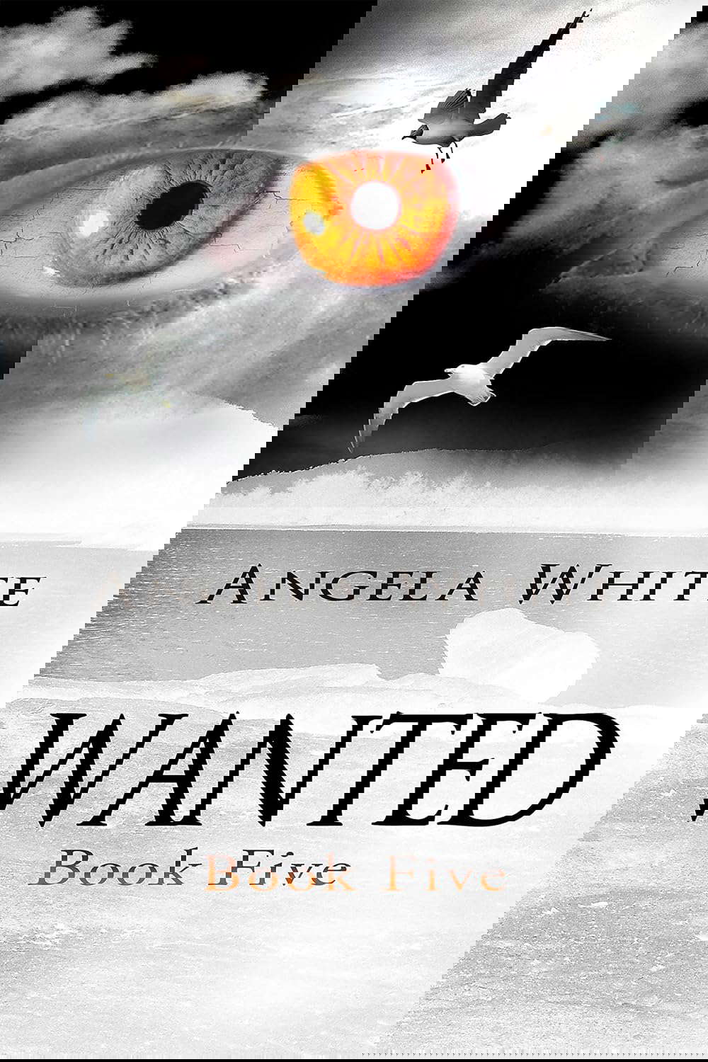 Wanted (Alexa's Travels Book 5) poster