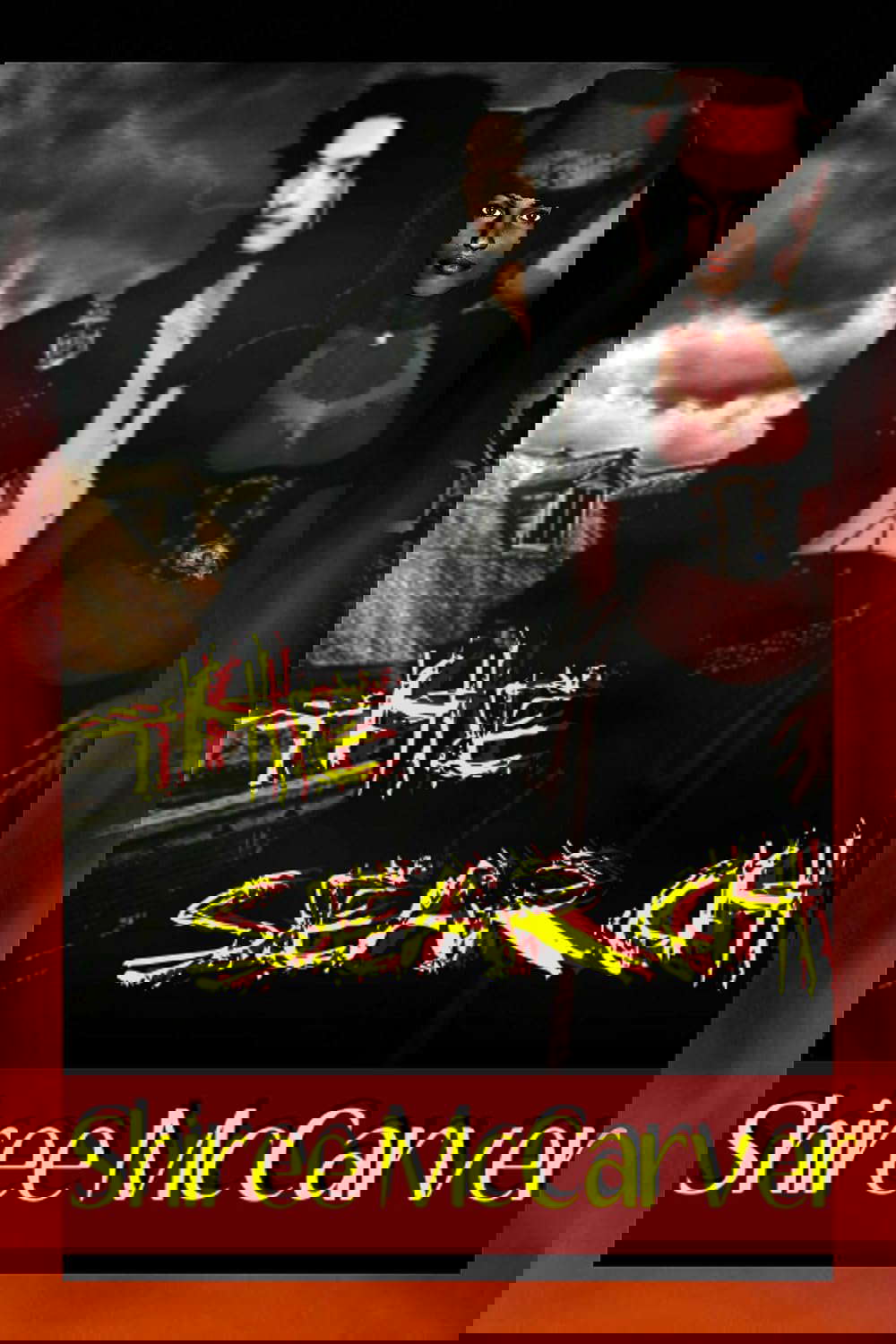 The Search poster