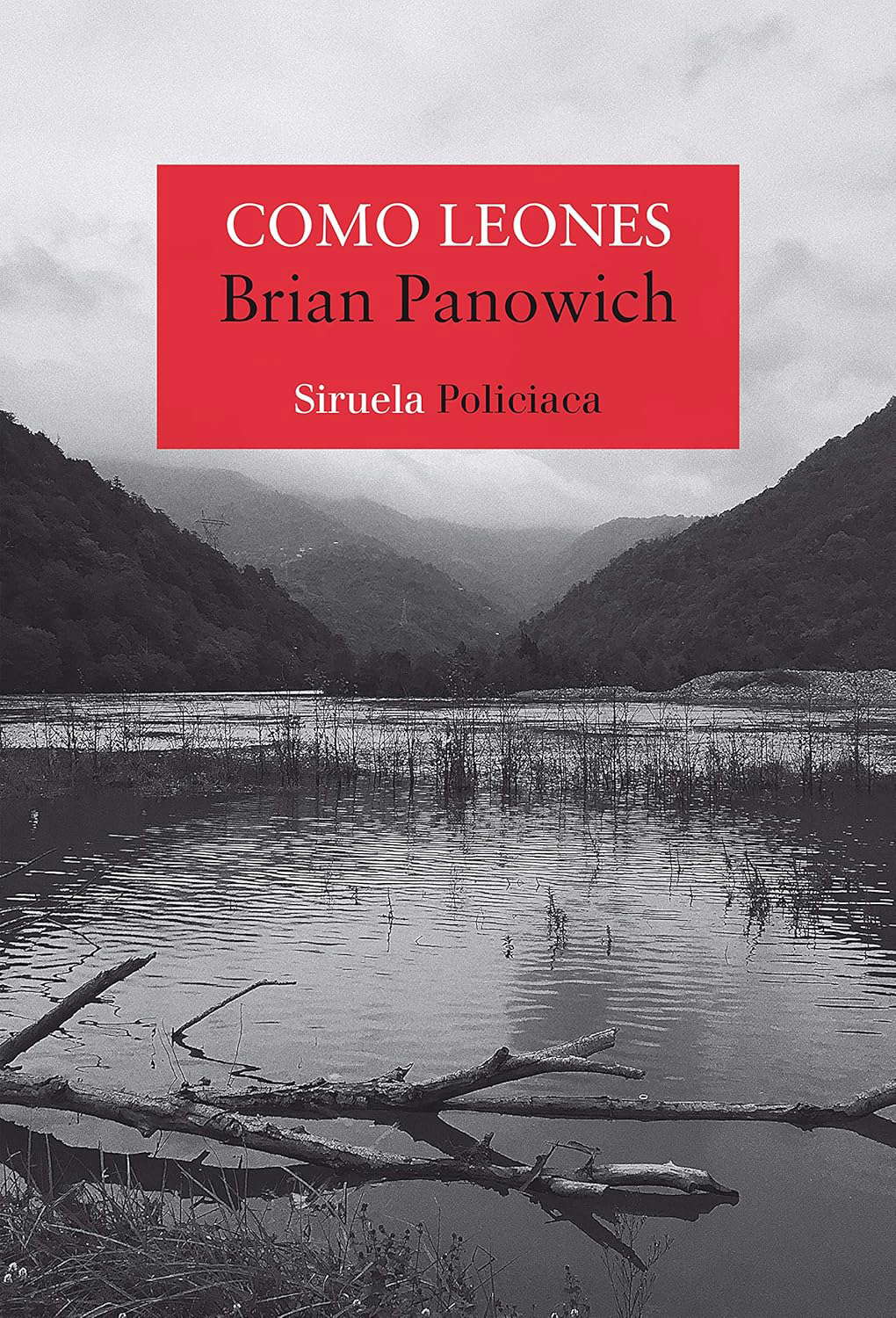 Como leones poster