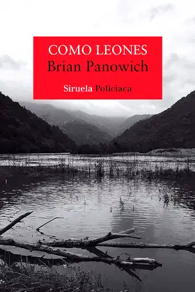 Como leones poster