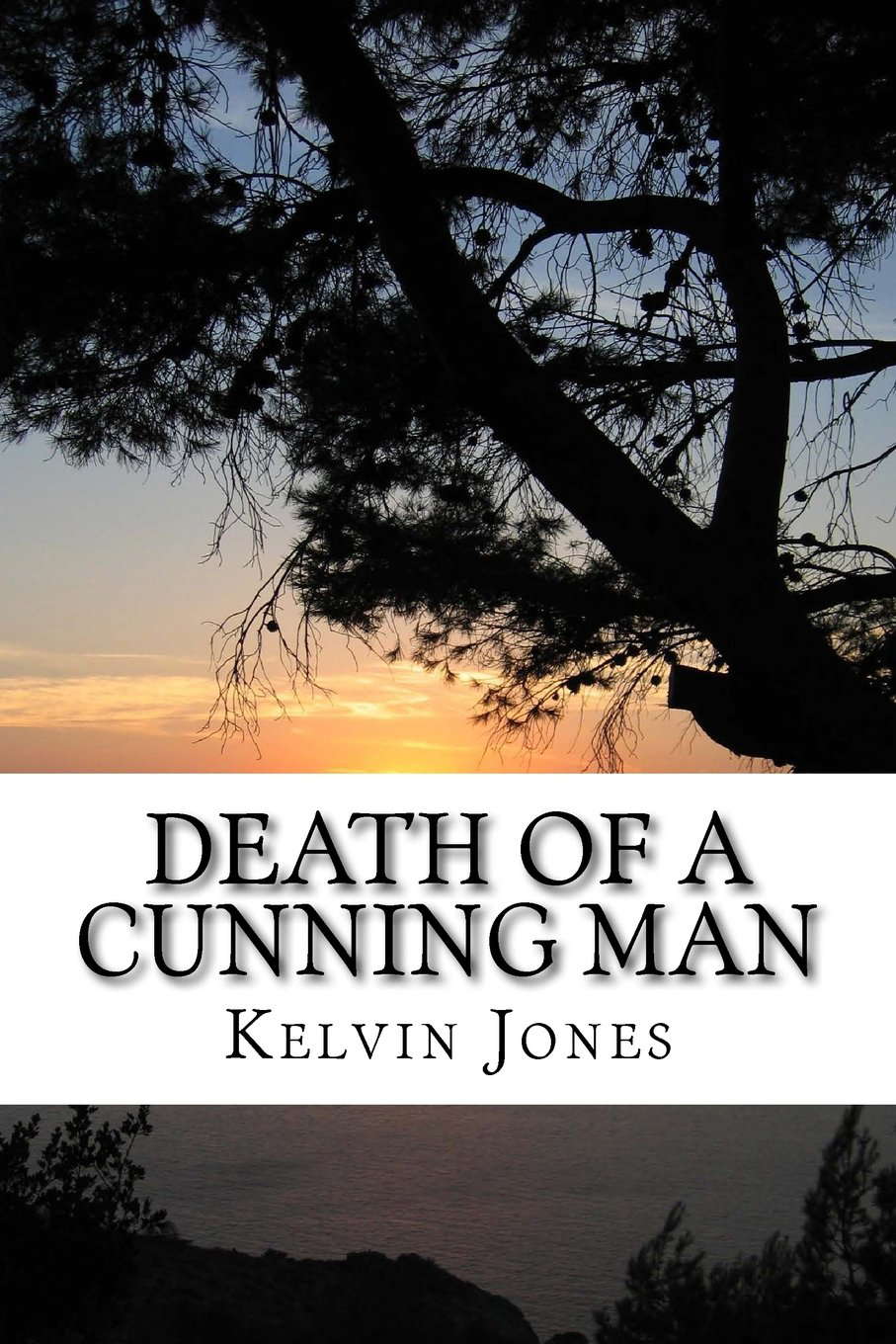 Death Of A Cunning Man poster