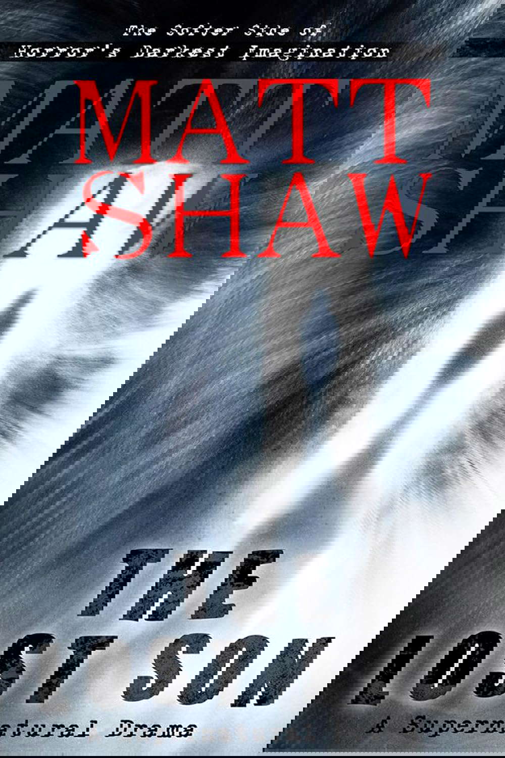 The Lost Son: A Supernatural Novel of Suspense poster