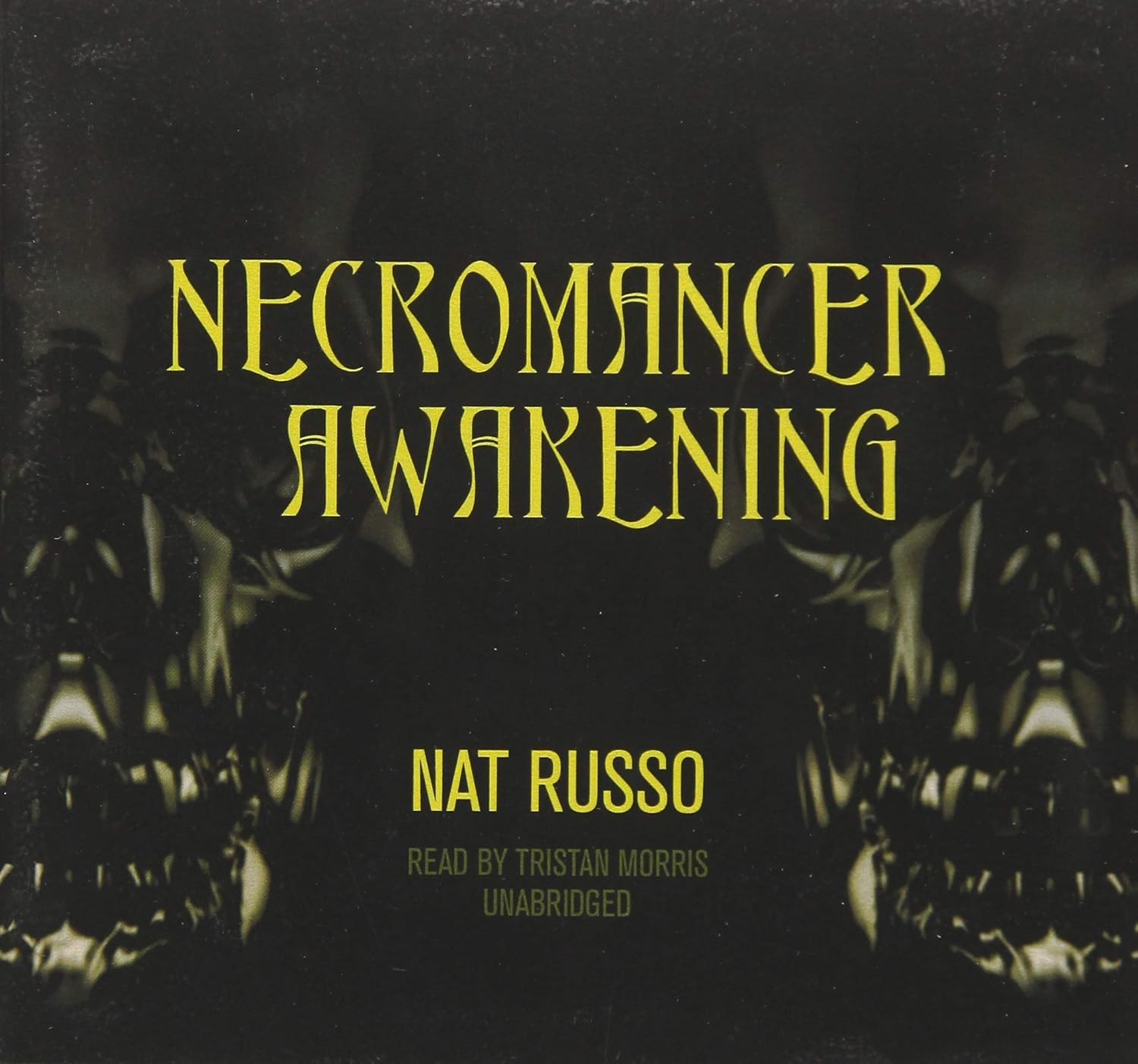 Necromancer Awakening Lib/E: Book One of the Mukhtaar Chronicles poster