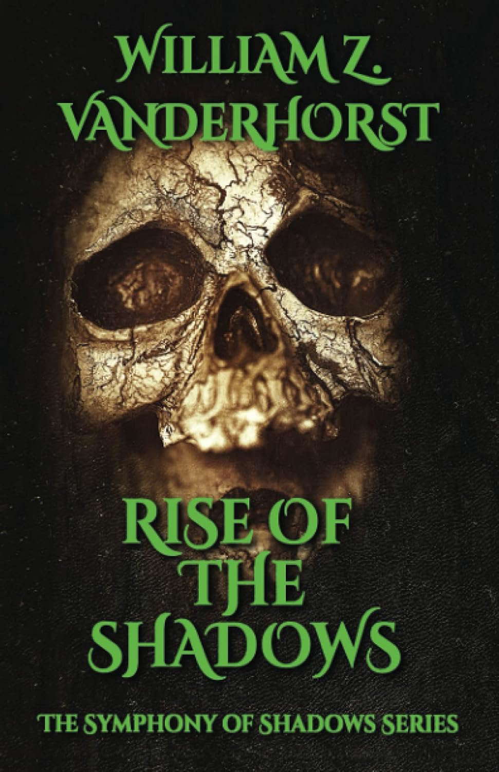 Rise of the Shadows (The Symphony of Shadows Series) poster