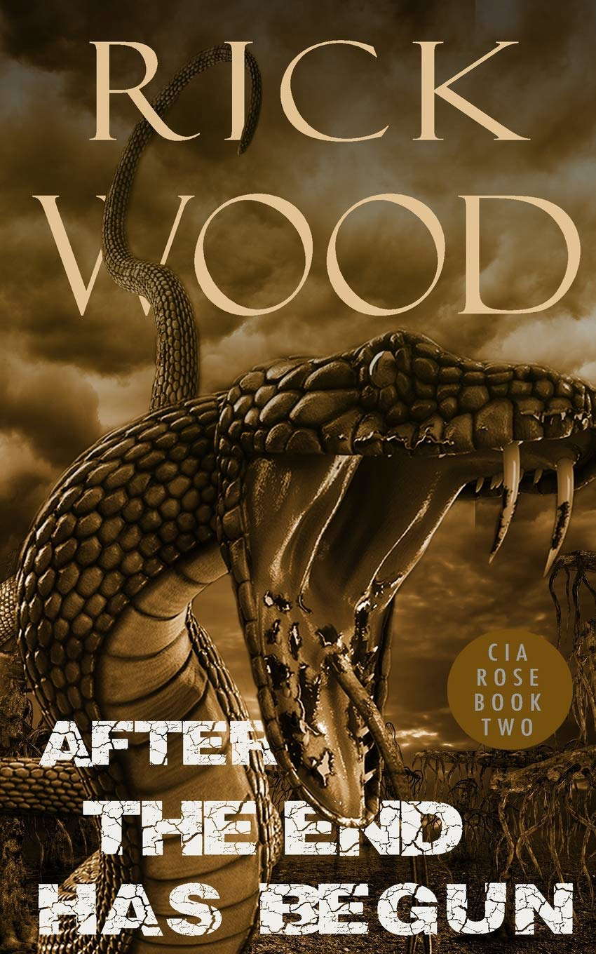 After the End Has Begun (CIA Rose) poster