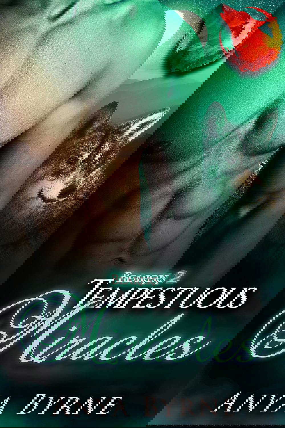 Tempestuous Miracles: Gay Mpreg (Bearers Book 2) poster