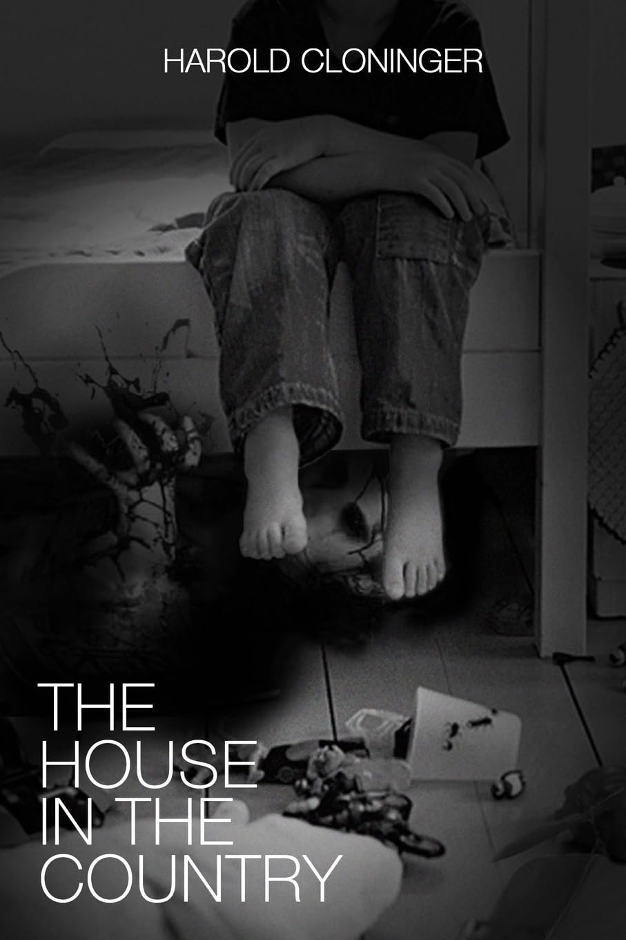 The House in the Country poster