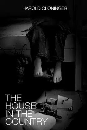 The House in the Country poster