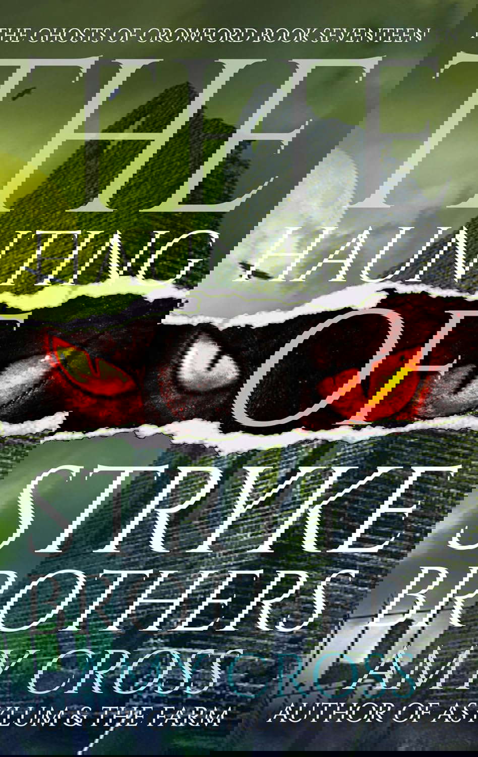 The Haunting of Stryke Brothers (The Ghosts of Crowford Book 17) poster