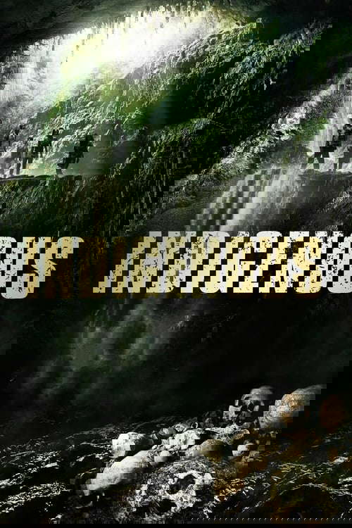 Indigenous poster