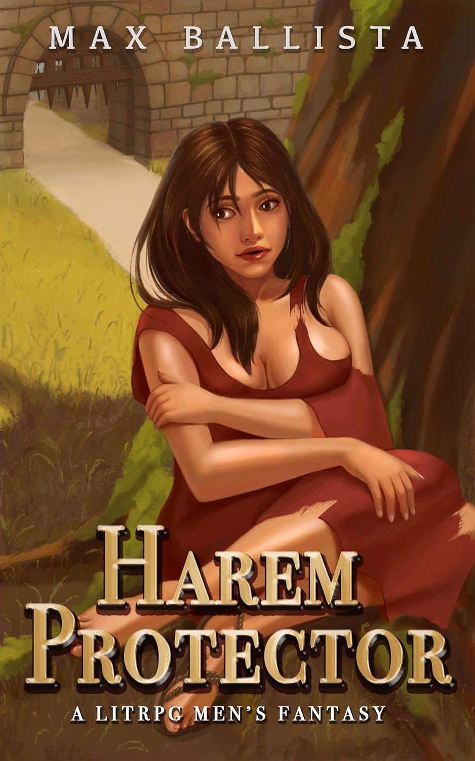 Harem Protector : A litrpg men's fantasy (Barbarian's Kingdom Book 1) poster