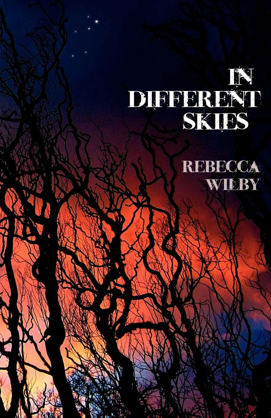 In Different Skies poster