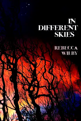 In Different Skies poster