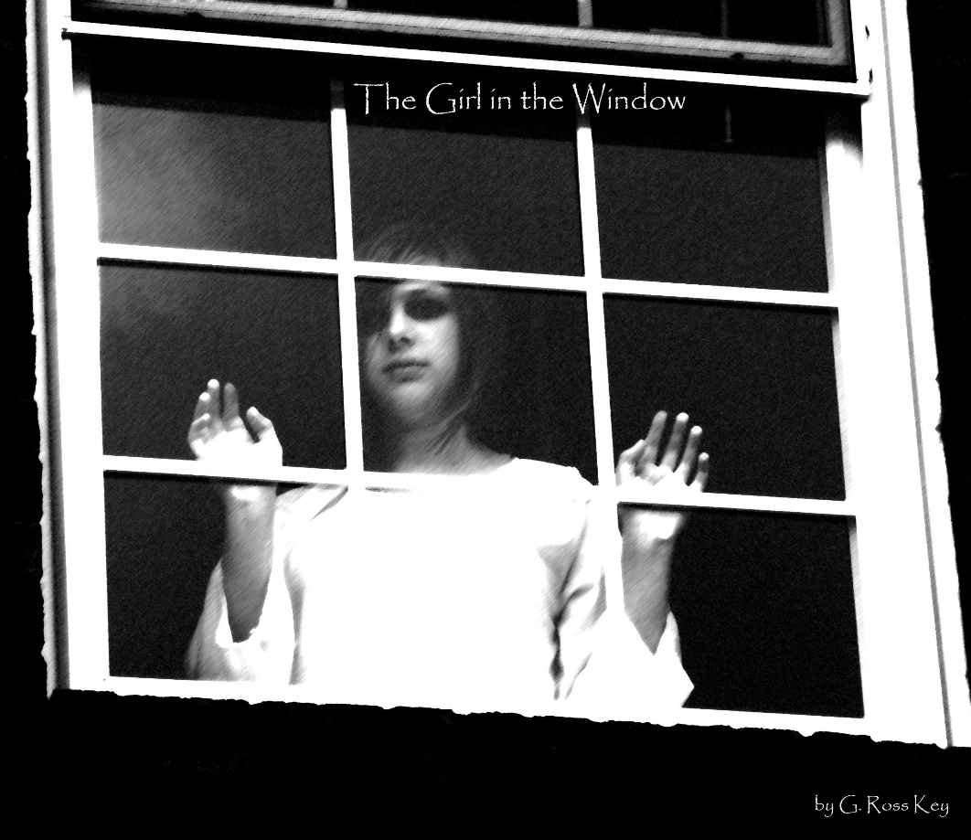 The Girl in the Window poster