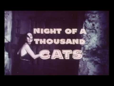 Poster for The Night of a Thousand Cats