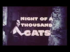 NIGHT OF A THOUSAND CATS - (1972) Trailer poster
