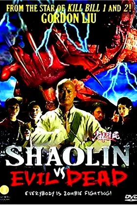 Shaolin vs. Evil Dead poster