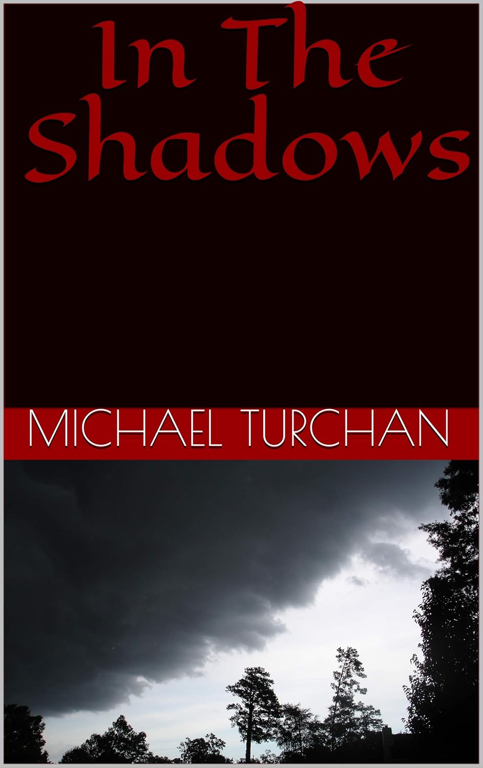 In The Shadows poster