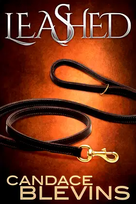 LEASHED (The Dark Underbelly) poster