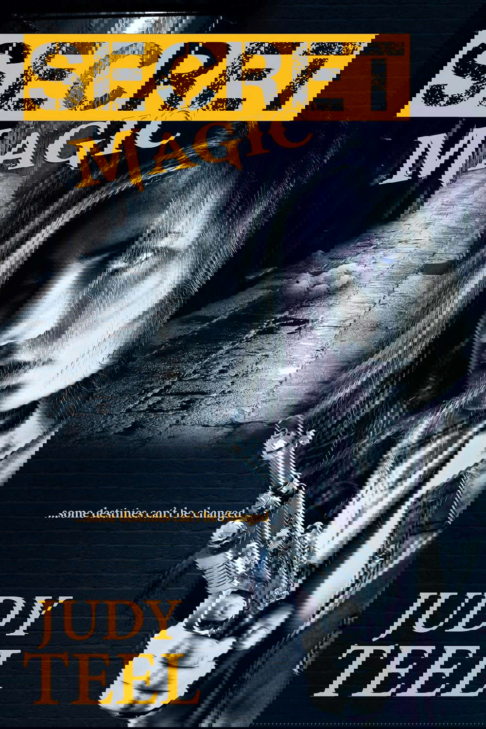 Secret Magic (Shifty Magic Novella Series, Book 1) poster