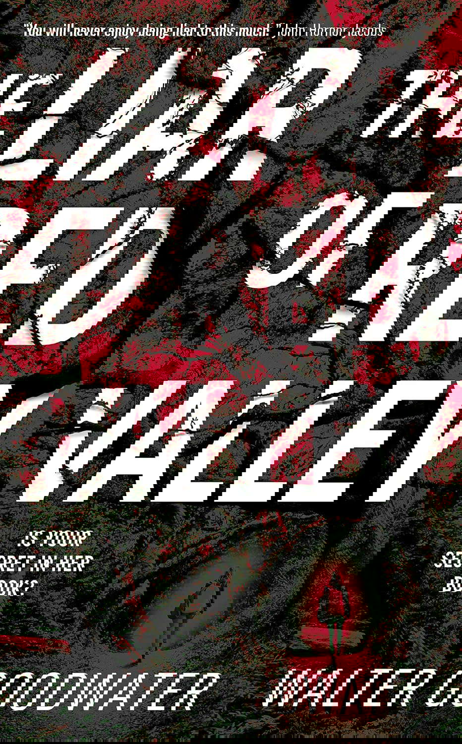The Liar of Red Valley poster