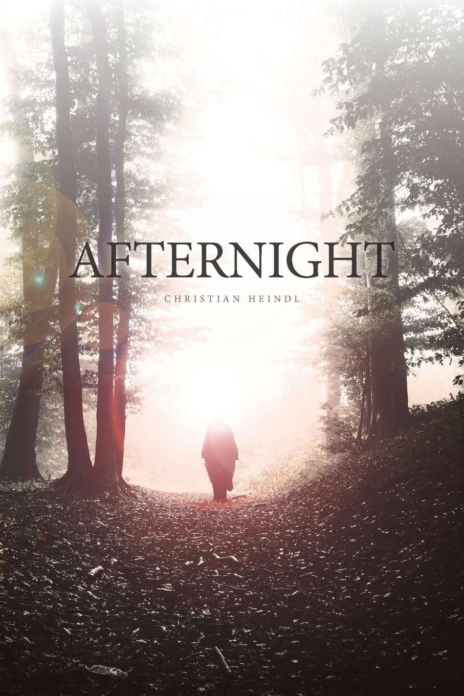 Afternight poster