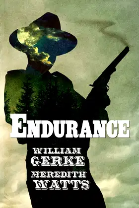 Endurance poster